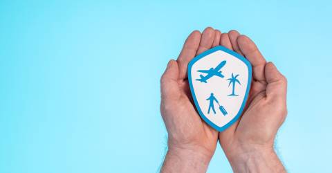 2 handen die een schild vasthouden waar een vliegtuig, een reiziger en een palmboom op staan